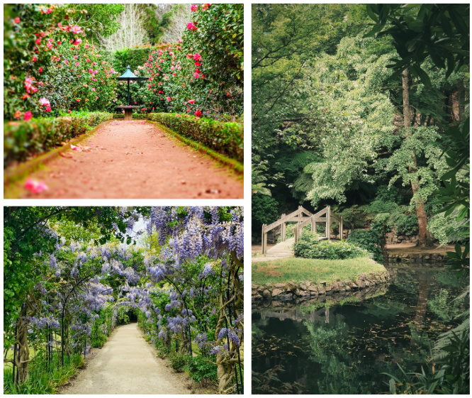 organic-garden-image